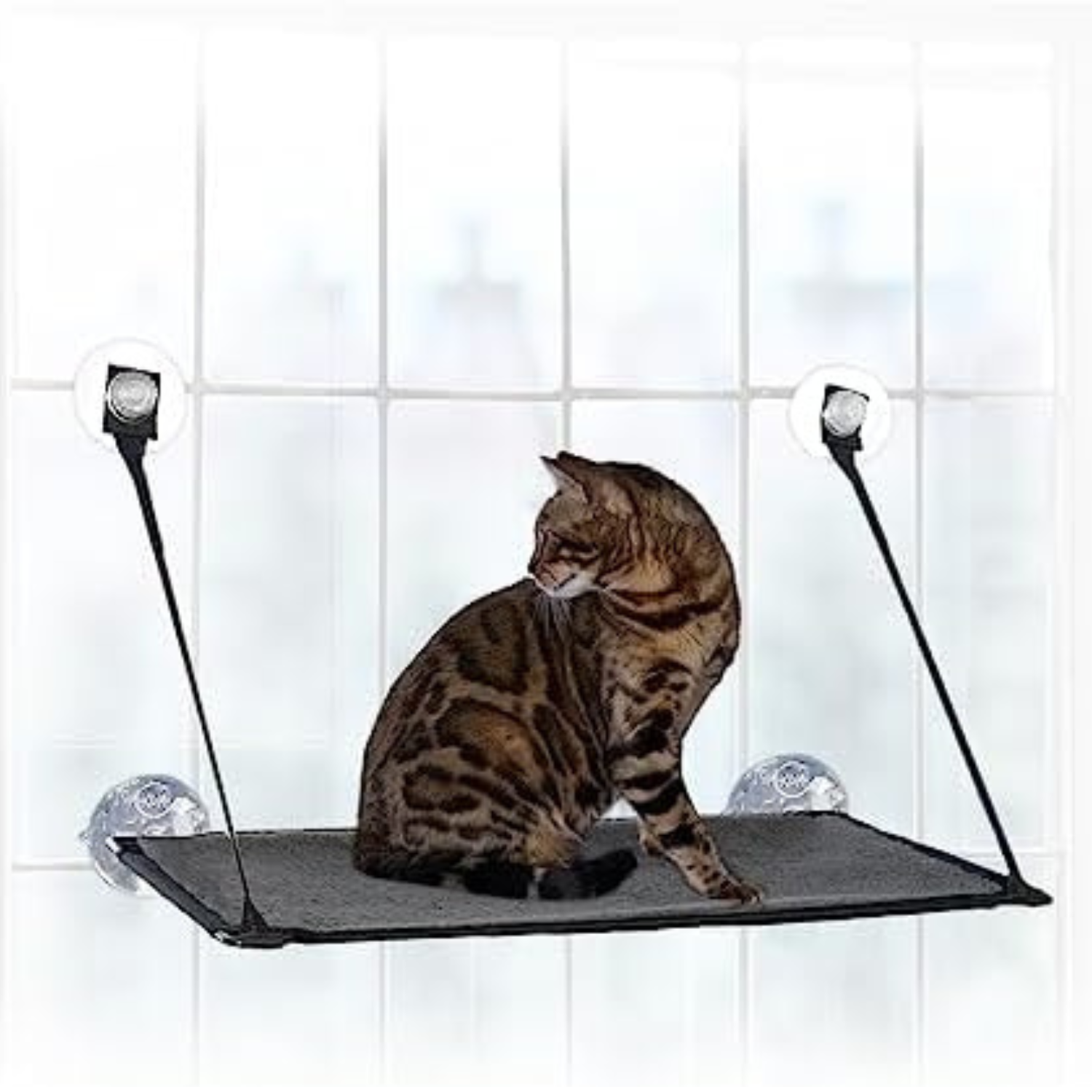 Pet window hammock hotsell