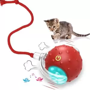 Giociv Rolling Flash Ball Cat Toy, Motion Activated & Chirping, Rolling Super Fast on Carpet Happy Party Game with Kittens - Red