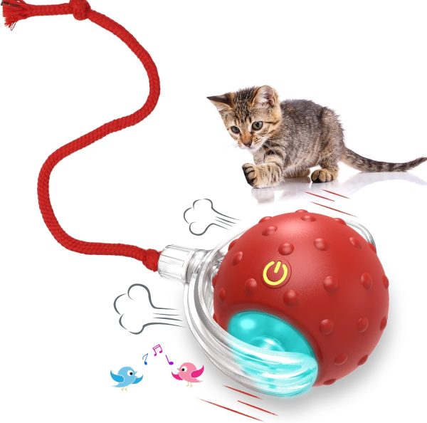 Giociv Interactive Cat Toys Ball for Indoor Cats – Fast Rolling, Chirping & Motion-Activated – Red