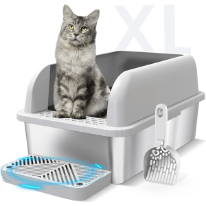 Litter Box