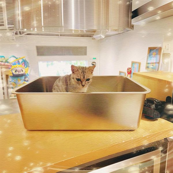 IKITCHEN Large Stainless Steel Cat Litter Box with High Side, Metal Litter Box for Cats Rabbits, Never Absorbs Odors Stain Free, Rustproof - Image 9