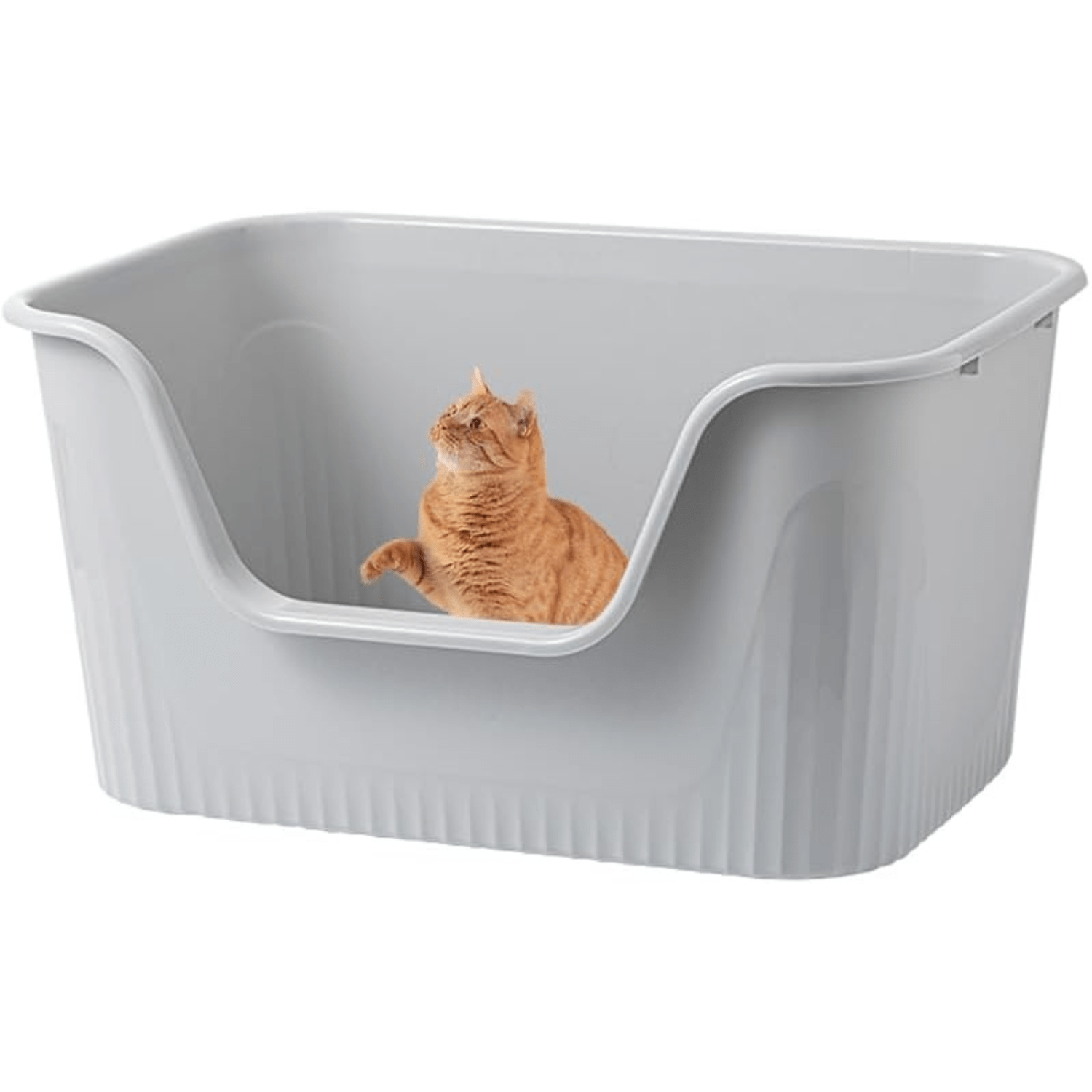 Large cat litter tray discount