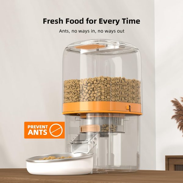 Automatic Cat Feeders