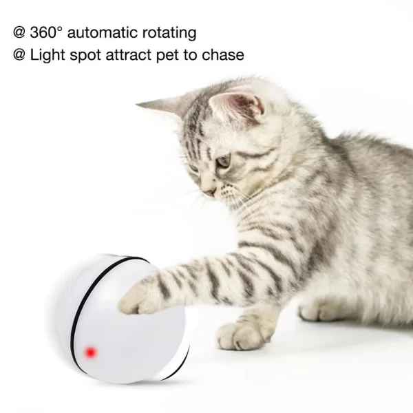 Automatic Motorized Scrolling Cat Toy, USB Rechargeable Light Chase Laser Ball for Pet Entertainment - Image 2