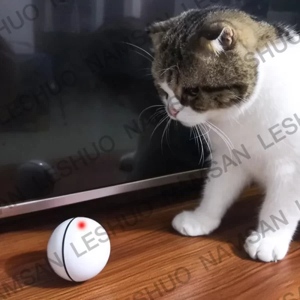 Automatic Motorized Scrolling Cat Toy, USB Rechargeable Light Chase Laser Ball for Pet Entertainment - Image 4