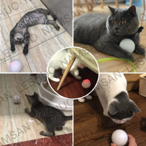 Automatic Motorized Scrolling Cat Toy, USB Rechargeable Light Chase Laser Ball for Pet Entertainment - Image 5