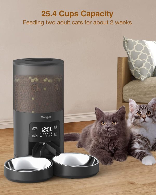 Molypet Automatic Cat Feeders for 2 Cats - 6L Cat Food Dispenser with Double Bowls, Programmable Timed Cat Feeder up to 6 Meals per Day with 10S Voice Recorder, Support Dual Power Supply - Image 6