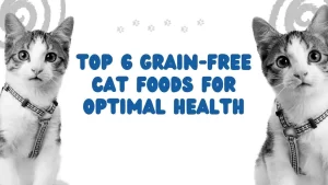 Top 6 Grain-Free Cat Foods for Optimal Health