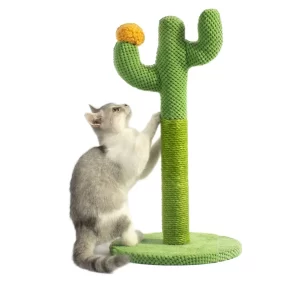 Cat Scratcher Post