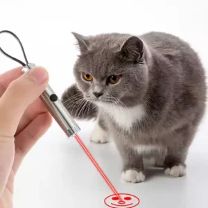 USB Rechargeable Cat Teasing Toys - Cat Toy for Indoor House Cats - Multifunction Handheld Laser Pointer
