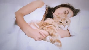 Why do you allow your cat to lie in bed with you