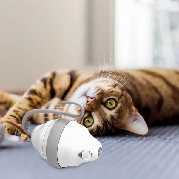 Rolling Mouse Interactive Cat Toy, Automatic Moving Mouse Glow Feather Electric Teasing Stick Regular Running - Image 5