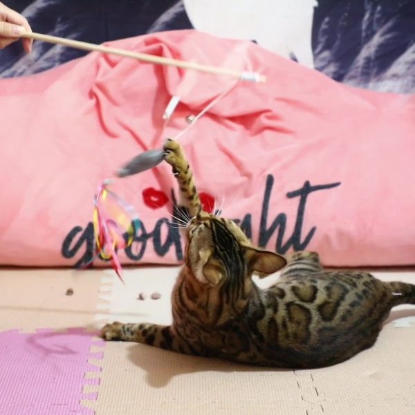 Plant Castle Interactive Cat Toys With Catnip Fish 3 in 1, Cat Wand Toy with Colorful Ribbons, Bell & Wooden Handle for Indoor Cats - Image 2