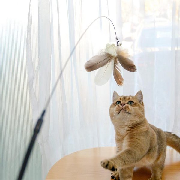 Retractable Laser Cat Stick Toys – Cat Laser Teaser Wand with Telescopic Aluminium Stick, Feather & String Toy, Interactive Cat Toy Balls – Safe, Non-Toxic Materials – Suitable of All Breeds Size - Image 2