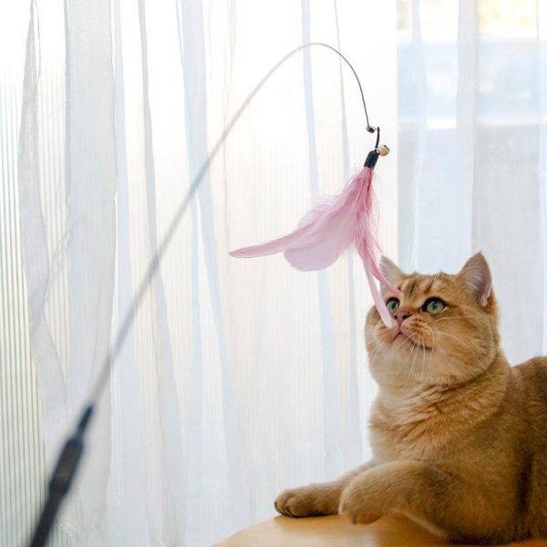 Retractable Laser Cat Stick Toys – Cat Laser Teaser Wand with Telescopic Aluminium Stick, Feather & String Toy, Interactive Cat Toy Balls – Safe, Non-Toxic Materials – Suitable of All Breeds Size - Image 4