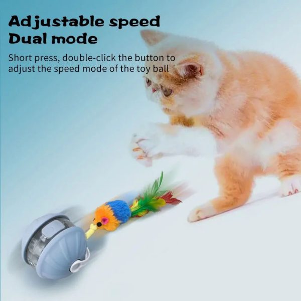 Automatic Rolling Cat Toy Ball with Laser Pointer, Rechargeable, Adjustable Speed, Faux Tail, Interactive Pet Toy for Cats - Image 7