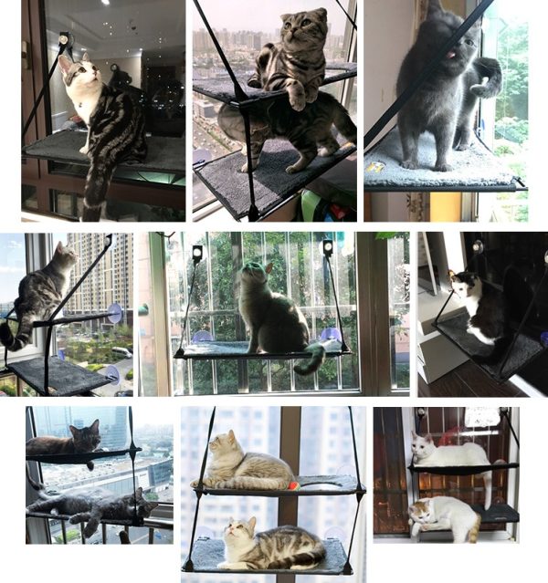 Cat bed hammock removable and washable super suction cup cat pad window sill cat litter - Image 7
