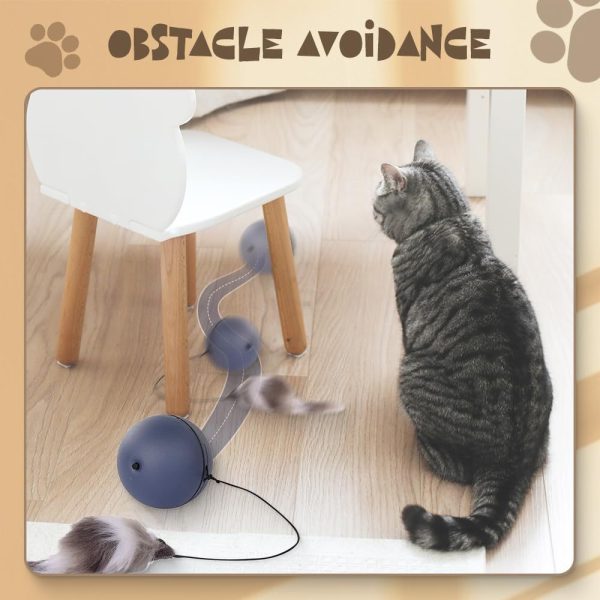 Interactive Cat Ball Toy - Automatic Self-Rolling Electric Pet Toy for Indoor Cats & Dogs, Motion Activated, Safe & Durable - Image 9