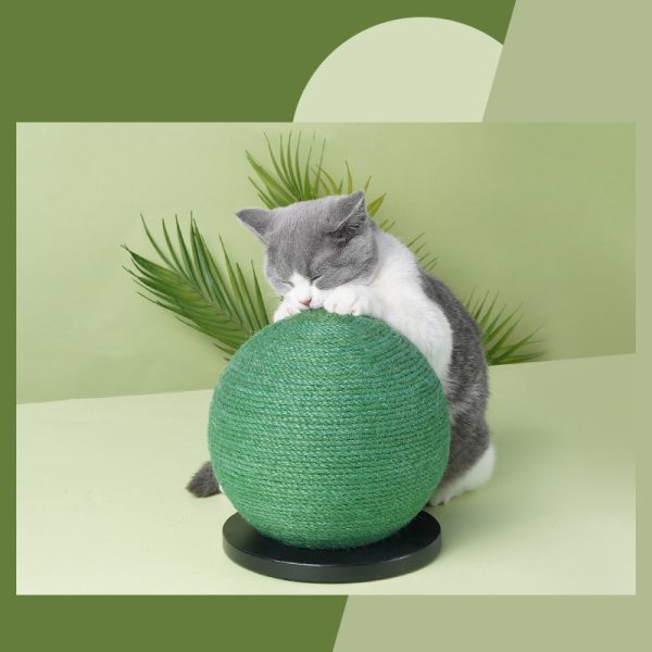 Cat Scratching Ball Board Toy Cactus Shape Scratch Sisal Post, Funny Cactus Cat Scratch Post - Image 6