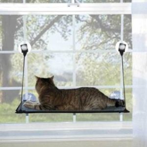 Cat bed hammock removable and washable super suction cup cat pad window sill cat litter