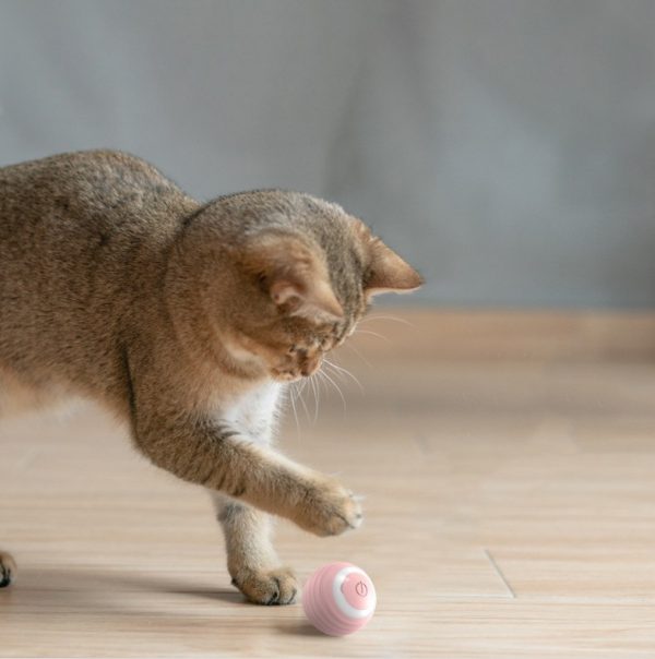 Automatic Moving Bouncing Rolling Cat Ball, Smart Cat Toy Ball Self-Moving Kitten Toy For Indoor Cat Kitten - Image 5
