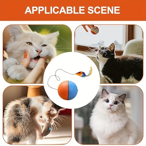 Interactive Cat Toy Ball with Plush Mouse, Fun Exercise Toy for Cats - Image 8