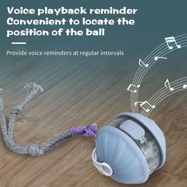 Automatic Rolling Cat Toy Ball with Laser Pointer, Rechargeable, Adjustable Speed, Faux Tail, Interactive Pet Toy for Cats - Image 8