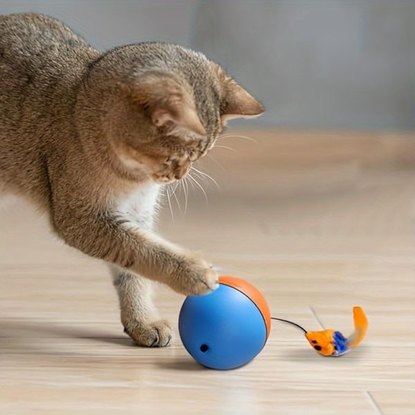 Interactive Cat Toy Ball with Plush Mouse, Fun Exercise Toy for Cats - Image 3