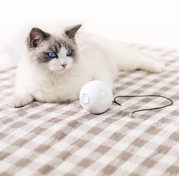 Smart Automatic Interactive Cat Toy Ball - High-Quality PC, AAA Battery-Powered, Fun Bell Accessories for Cats