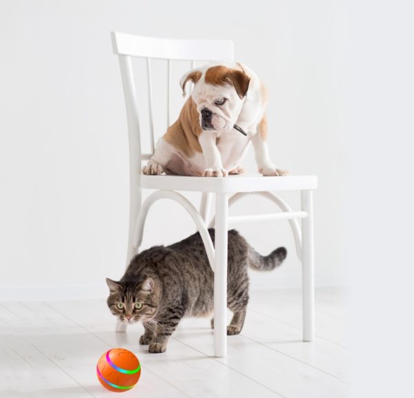 Cat Wicked Ball Toy - Automatic Self-Rotating USB Cat Toy, Interactive Pet Ball with Random Movement, Durable & Safe for Cats (Orange/Yellow/Pink) - Image 9