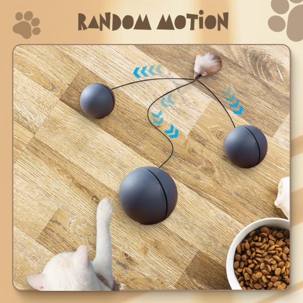 Interactive Cat Ball Toy - Automatic Self-Rolling Electric Pet Toy for Indoor Cats & Dogs, Motion Activated, Safe & Durable - Image 2