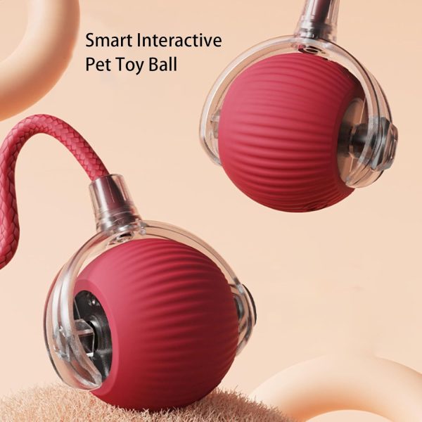 Interactive Cat Ball Toy (2 Pack), Cat Rotating Ball Toy for Indoor Cats, Automatic Moving Cat Balls, 360° Automatic Rolling Ball Toy Electric Balls for Dog/Cat - Image 3