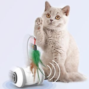 Interactive Cat Toy with Interchangeable Heads - Automatic Robotic Cat Feather Toys for Indoor Cats, ABS Material, White Grey