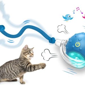 Giociv Interactive Cat Toys Ball for Indoor Cats (2Pack), Fast Rolling on Carpet, Chirping & Motion Activate Cat Toys (Blue)