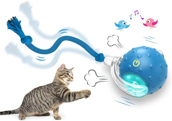 Giociv Interactive Cat Toys Ball for Indoor Cats (2Pack), Fast Rolling on Carpet, Chirping & Motion Activate Cat Toys (Blue)