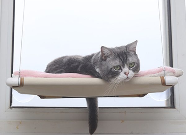 Cat Hammock Nest Hanging Bed for Window | PVC Mesh Cloth, Steel Wire Rope, Suction Cup | Small Pet Nest Holds up to 17.5kg