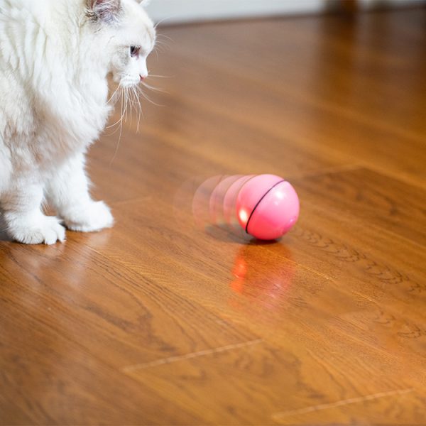 Laser Cat Toy USB Rechargeable, Automatic Sounding Interactive Pet Toy with 45 Min Timer, Plastic Material, Indoor Use - Image 8