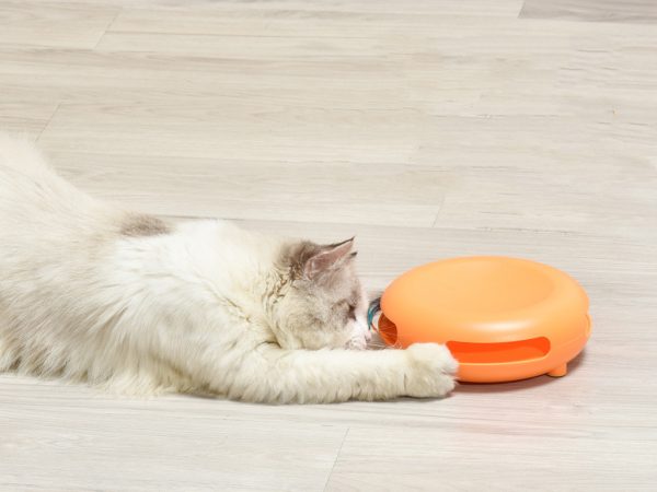 Smart Interactive Cat Toy, Spinning Turntable Game Pet Training Tool, White, Electric Cat Toy - Image 5