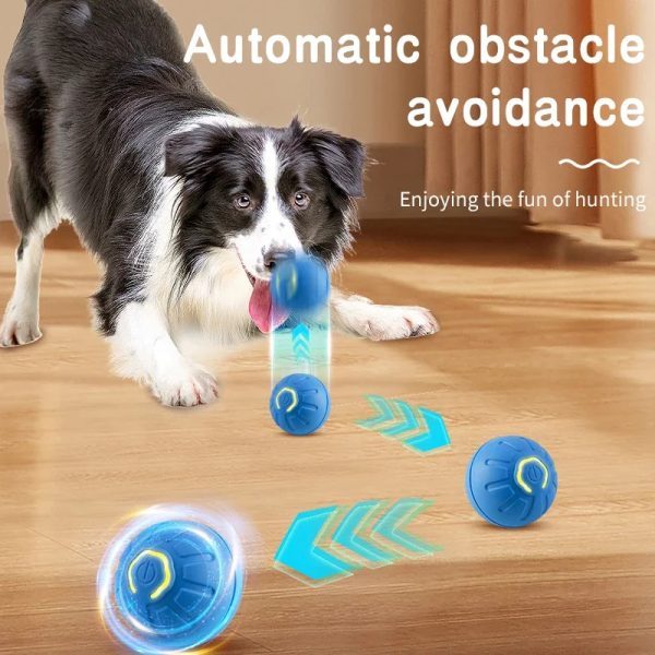 Interactive Dog Toy, Dog Ball Thrower Launcher, Durable Motion Activated Automatic Rolling Ball Toys for Puppy Dogs - Image 3