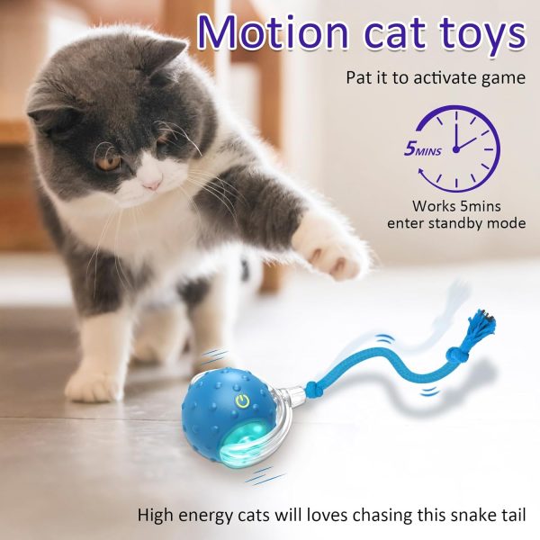 Giociv Interactive Cat Toys Ball for Indoor Cats (2Pack), Fast Rolling on Carpet, Chirping & Motion Activate Cat Toys (Blue) - Image 2