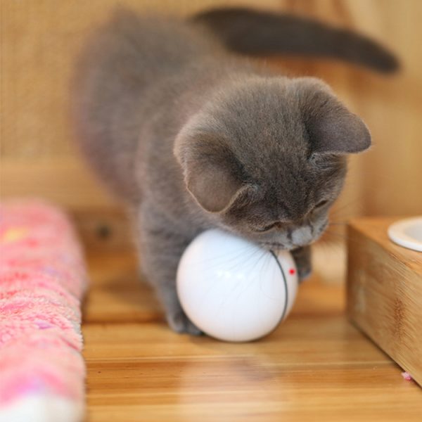 Laser Cat Toy USB Rechargeable, Automatic Sounding Interactive Pet Toy with 45 Min Timer, Plastic Material, Indoor Use - Image 4