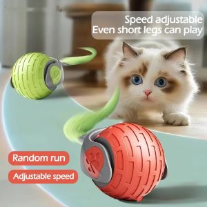Interactive Cat Speedy Tail Toy, Automatic Moving Cat Toy Ball, USB Rechargeable, Two Speed Adjustment, with Replacement Tail