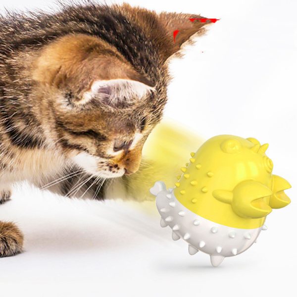 Electric Vibration Cat Toys, TPR Chew Toy for Cats, USB Rechargeable, 360° Enclosure, Safe for Cat Gums