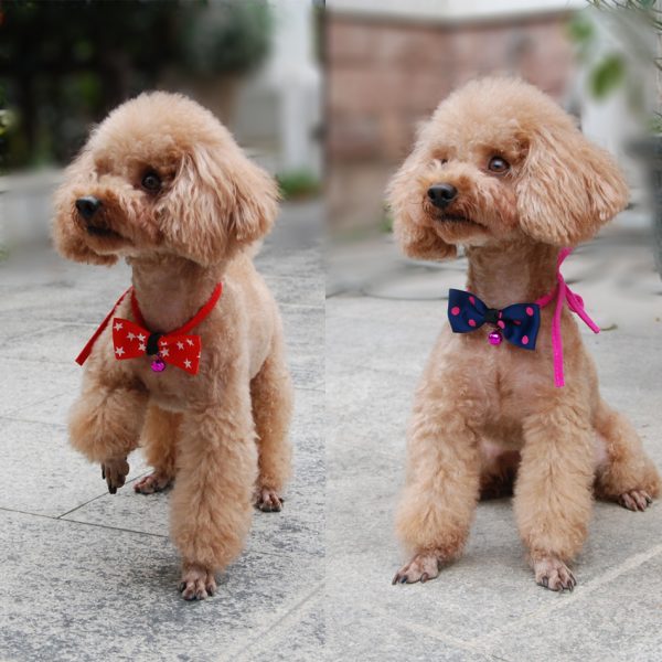 Adjustable Pet Bow Tie for Dogs and Cats, Polyester Bow with Copper Bell and, Neck Strap Fits Up to 22 Inches - Image 7