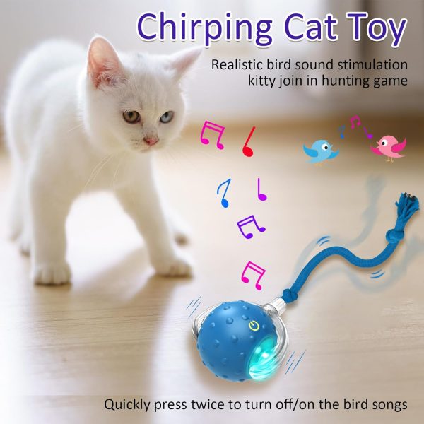 Giociv Interactive Cat Toys Ball for Indoor Cats (2Pack), Fast Rolling on Carpet, Chirping & Motion Activate Cat Toys (Blue) - Image 3