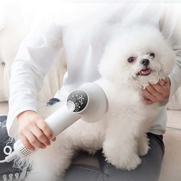 Low Noise Pet Hair Dryer with Slicker Brush, 2 in1 Steam Brush for Dogs, Dog Blower Grooming Dryer, Dog Cat Dryer for Pet Grooming - Image 4