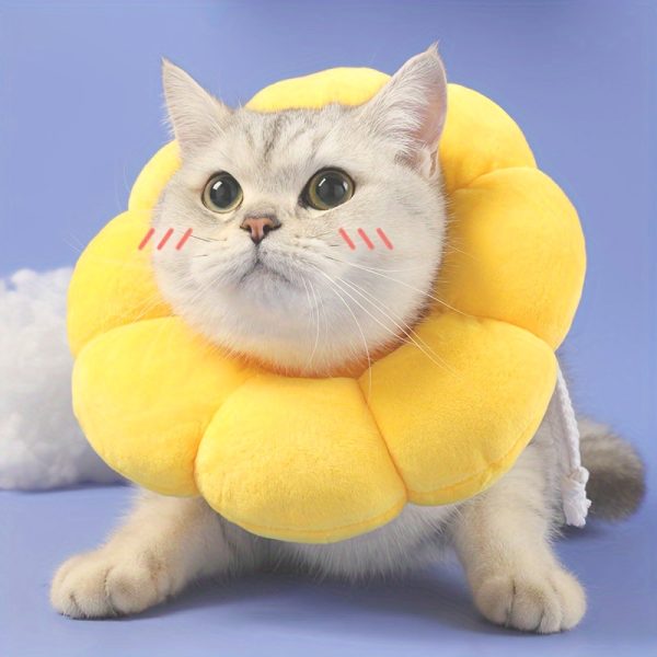 GAPZER Cat Cone Collar, Neck Cone to Stop Licking, Surgery Recovery Collar for Kittens Cats - Image 2