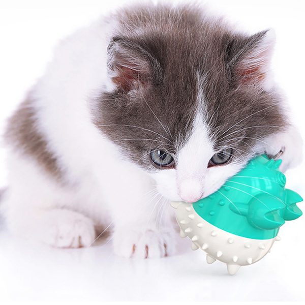 Electric Vibration Cat Toys, TPR Chew Toy for Cats, USB Rechargeable, 360° Enclosure, Safe for Cat Gums - Image 4
