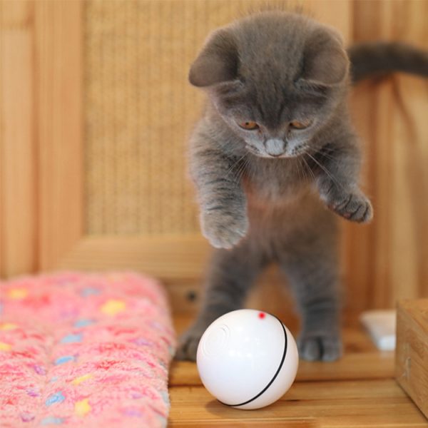 Laser Cat Toy USB Rechargeable, Automatic Sounding Interactive Pet Toy with 45 Min Timer, Plastic Material, Indoor Use - Image 7