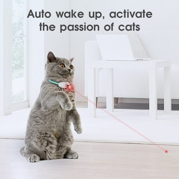 Teaser Cat Collar Pet Exercise Toys for Small, Medium and Large Cats Working, Pet Supplies, Cat Supplies, Collars and, Tags - Image 10